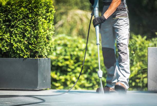 Best Fence Cleaning  in Hampton, SC