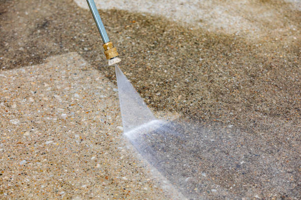 Best Soft Washing  in Hampton, SC